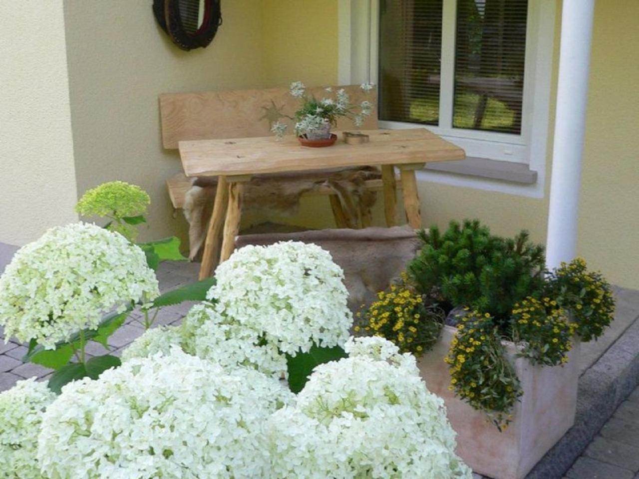 Allgaeuvilla Scheidegg Ngoại thất bức ảnh
